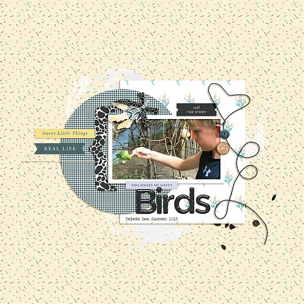 Feeding Birds