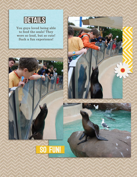 feeding seals