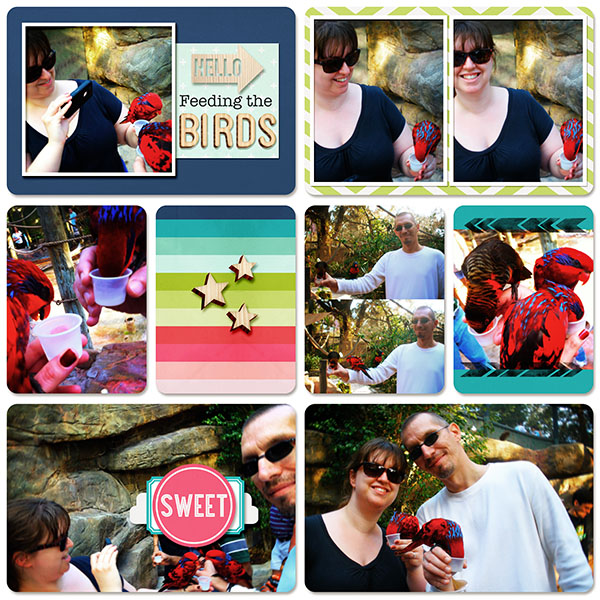 Feeding the Birds