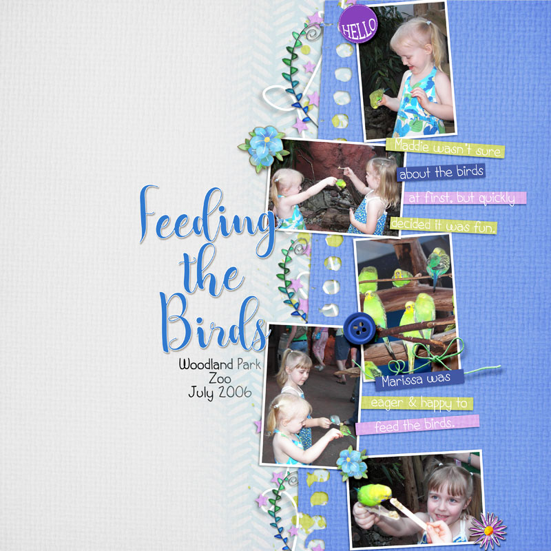 Feeding-the-Birds