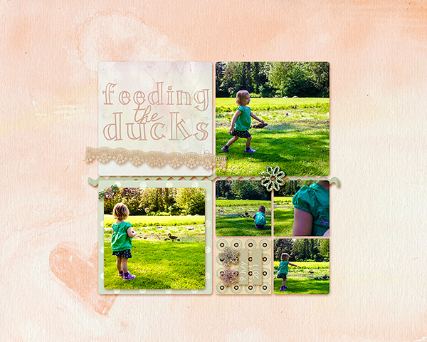 Feeding the Ducks