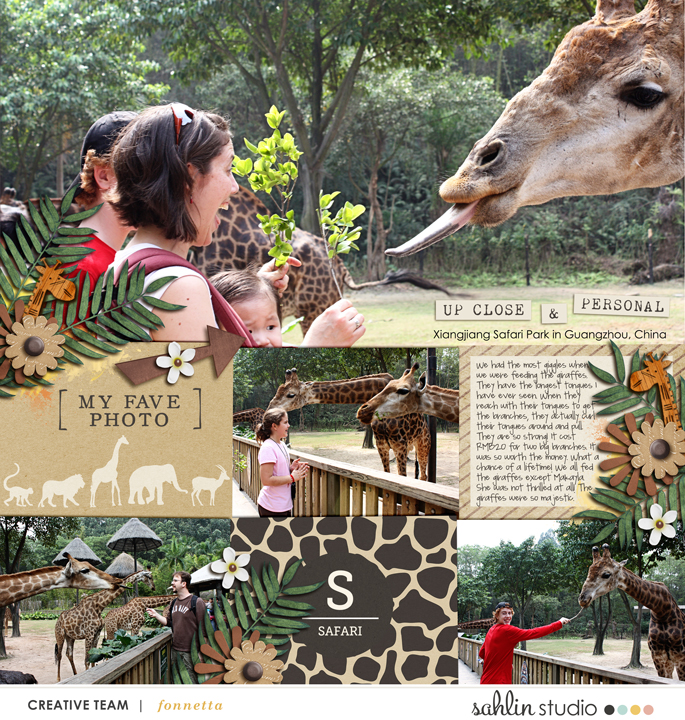 Feeding the giraffes