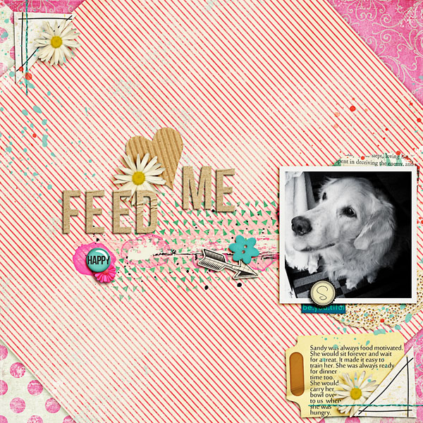 Feedme-copy