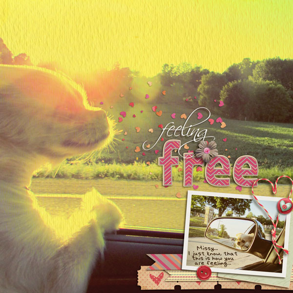 Feeling Free...