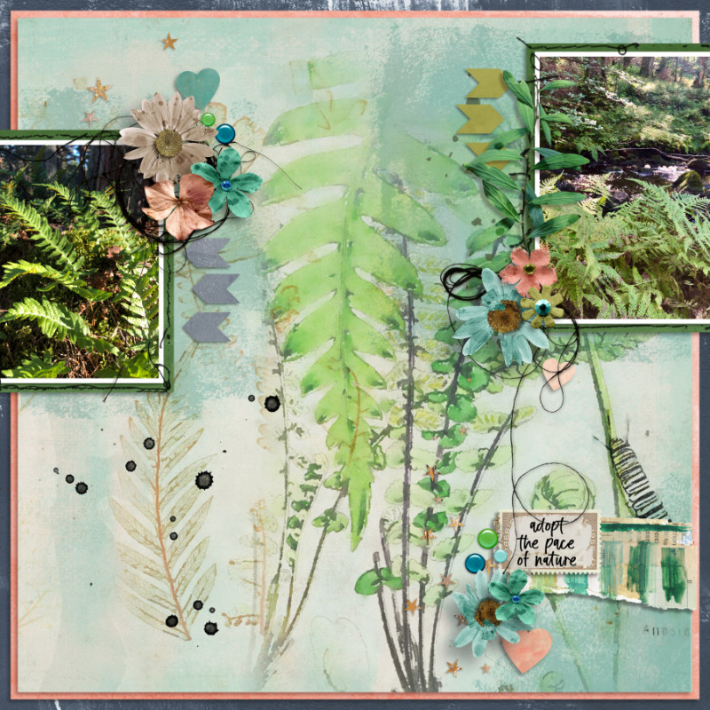 Fern lover