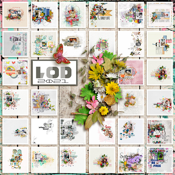 FF_4-16_LBW_FDD_LOD 2021