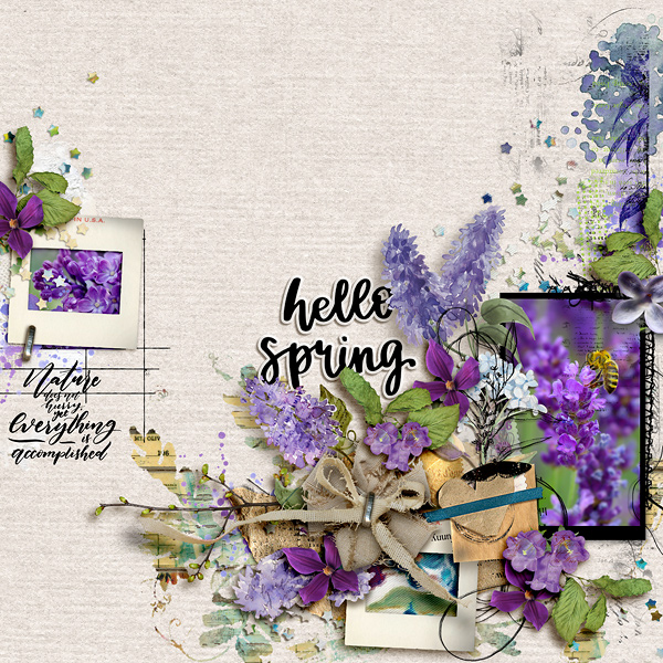 FF_4-23_NBK_Hello Spring