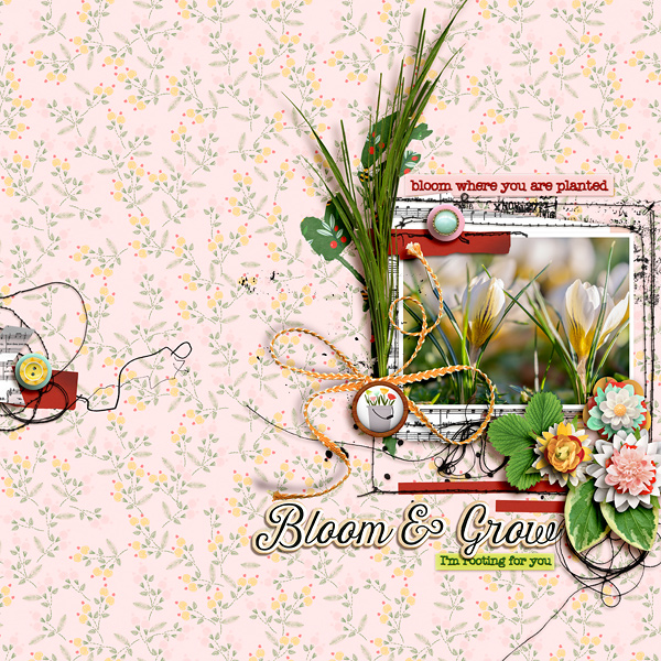 FF_4-9_FG_RJ_Bloom & Grow