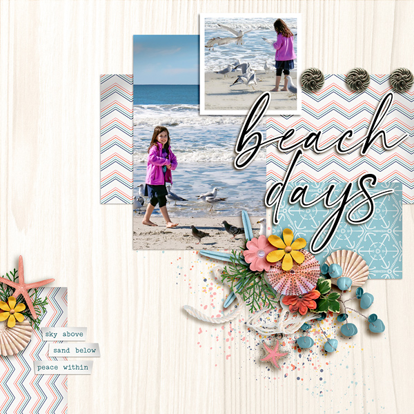FF_6-25_Soco_SwL_Beach Days