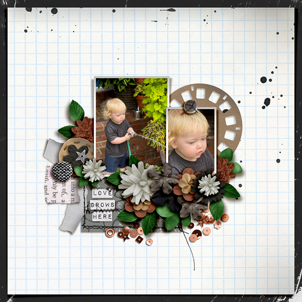 FF_9-10_RJ_FDD_Love Grows Here