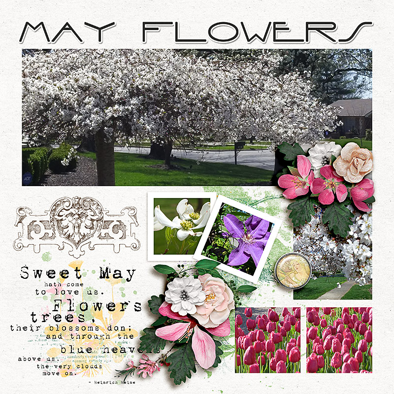 FF_apr28_AWA_AD_May Flowers