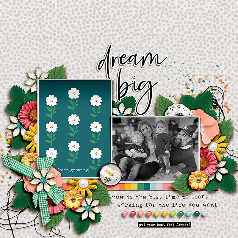FF_apr28_MPM_FDD_Dream Big
