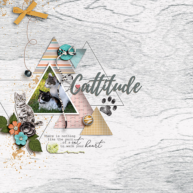FF_aug18_AD_ngd_Soco_Cattitude