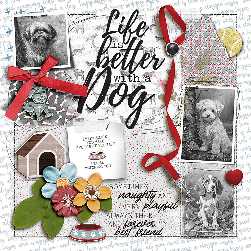 FF_aug18_ngd_NBK_Life Is Better With A Dog