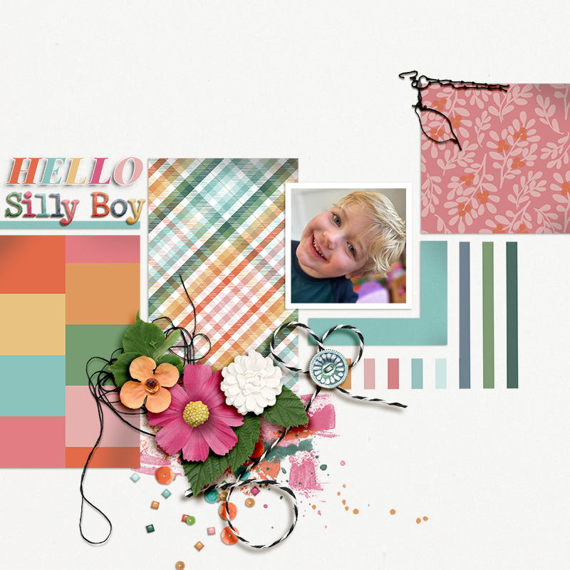FF_feb23_MPM_SwL_Hello Silly Boy