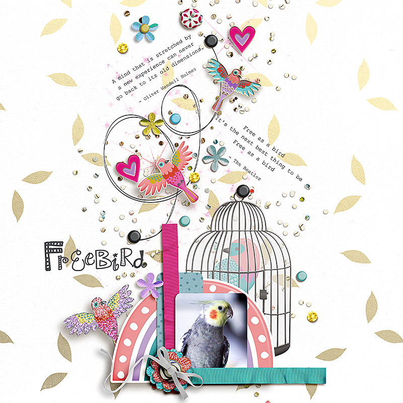 FF_feb24_GM_SG_Freebird