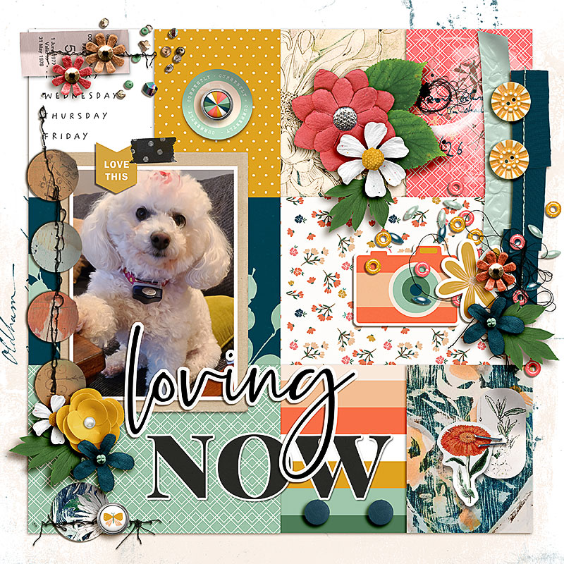 FF_feb24_MPM_RJ_Loving Now