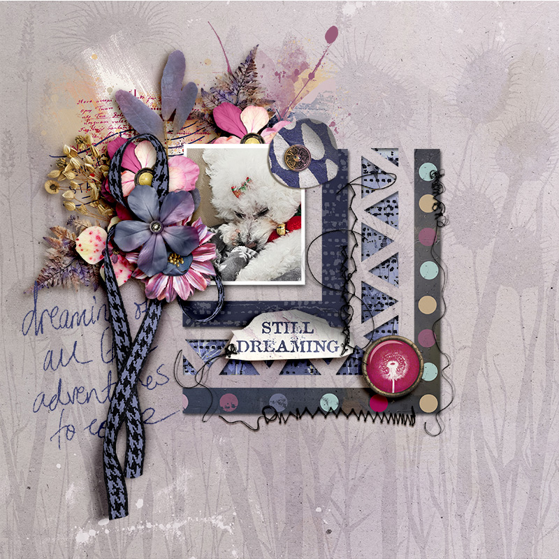 FF_jan17_LG_JJD_Still Dreaming