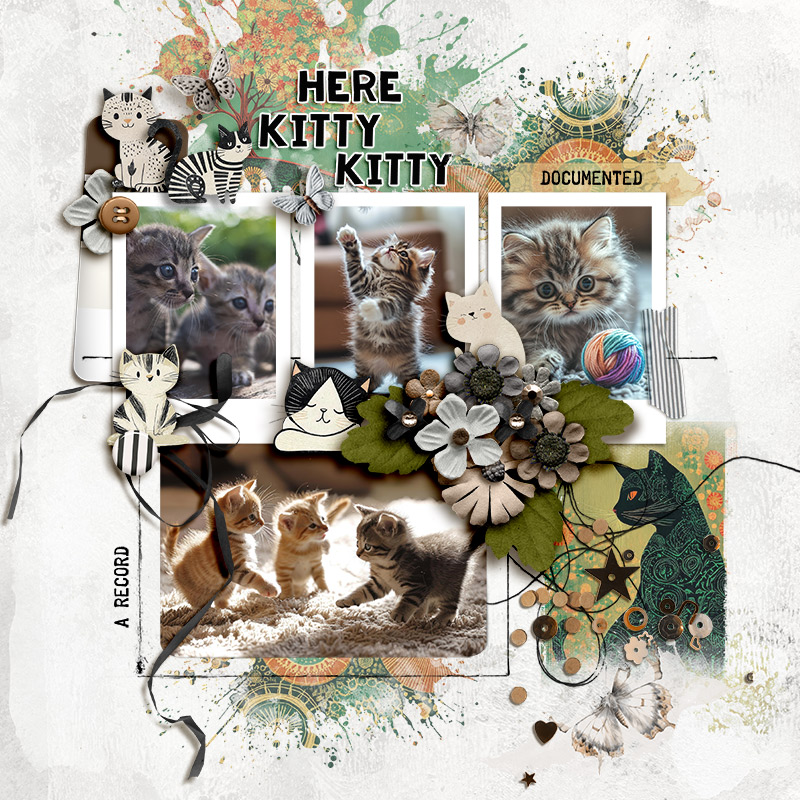 FF_jan24_NBK_LG_RJ_Here Kitty Kitty