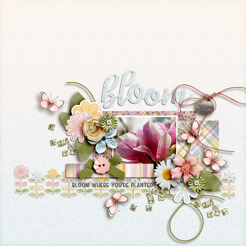 FF_jul25_SK_Bloom