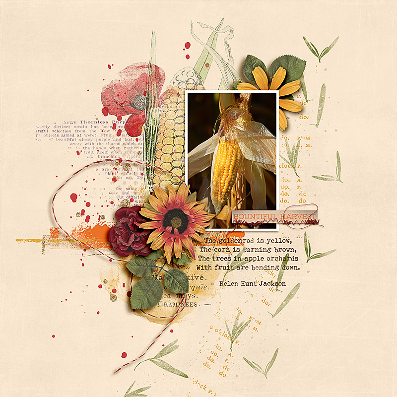 FF_july28_AWA_Bountiful Harvest