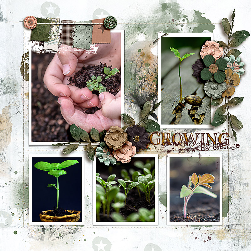 FF_mar15_RJ_LG_Growing
