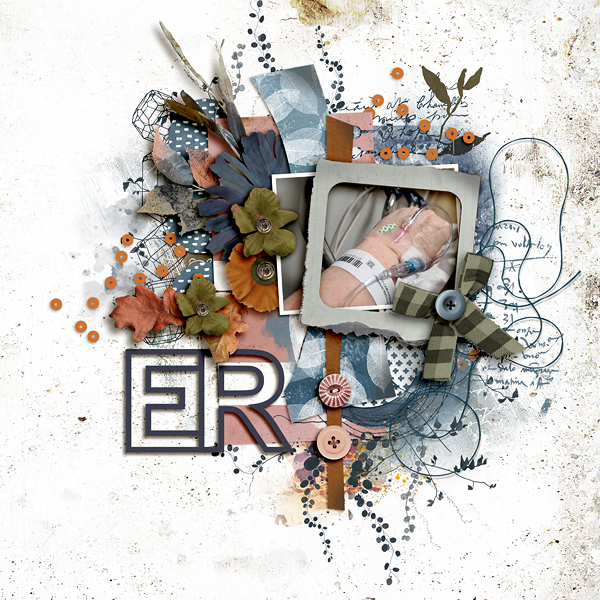 FF_nov25_LG_SwL_ER