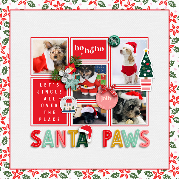 FF_nov25_MPM_Soco_Santa Paws