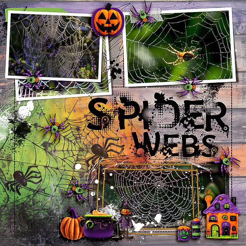 FF_oct20_NBK_Spider Webs