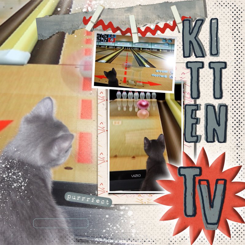 Fiddle Dee Dee Template Challenge Kitten TV