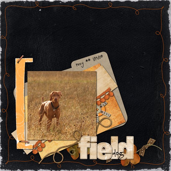 field dog