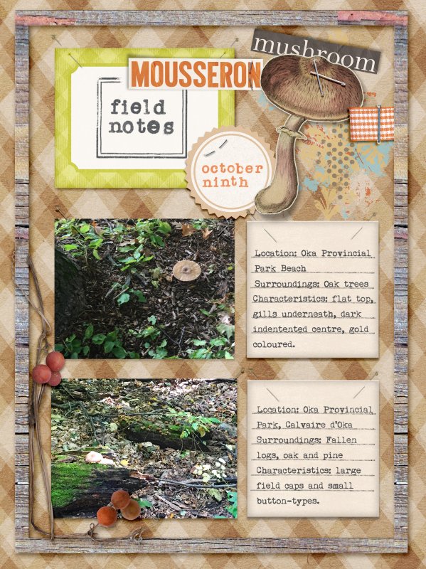Field Notes