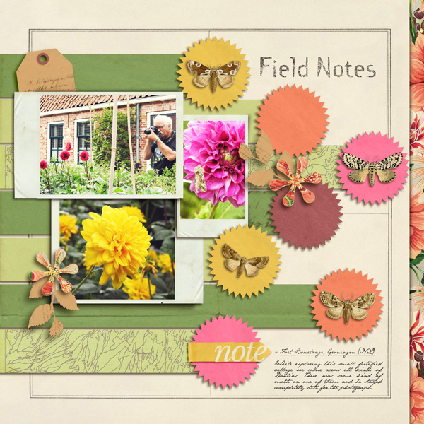 Field Notes