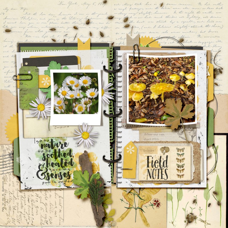 Field Notes