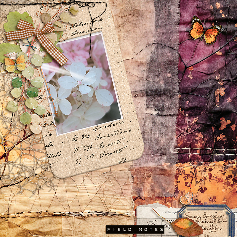 Field-notes