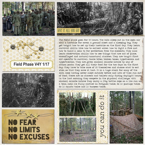 Field-phase-v4y-1.17