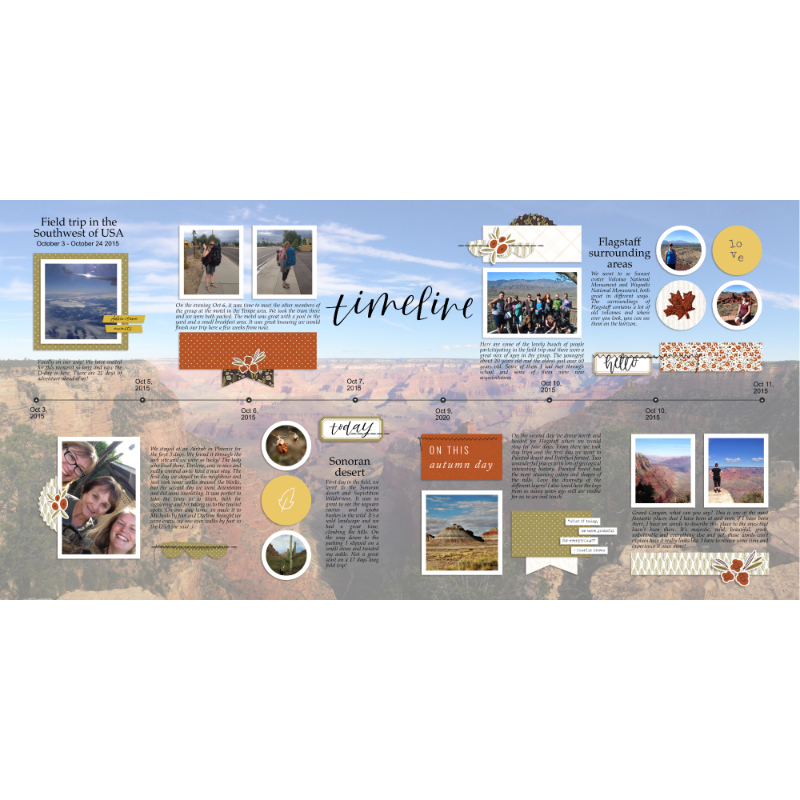 Field trip timeline - spread