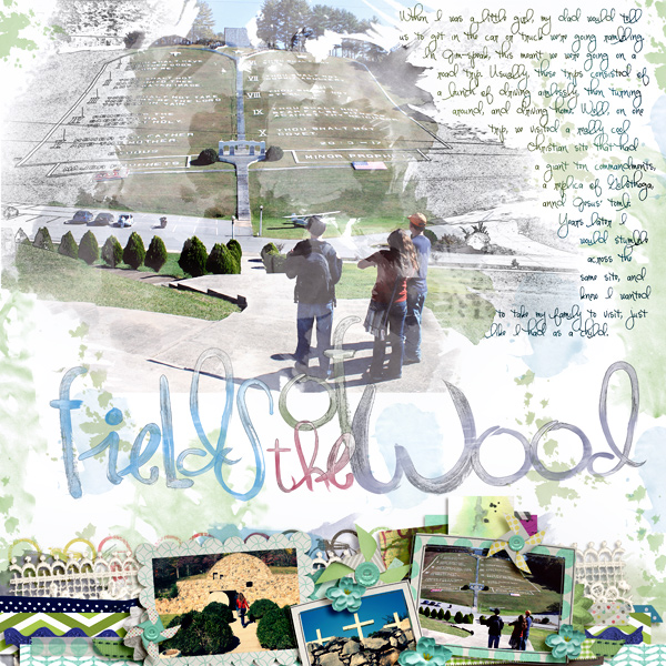 Fields of the Wood