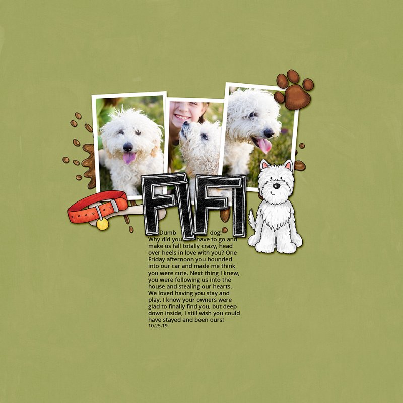 Fifi