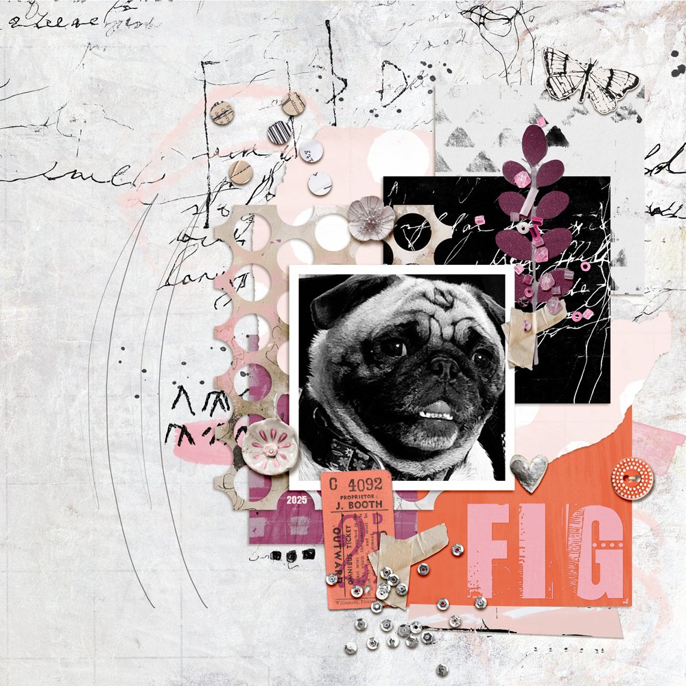 Fig