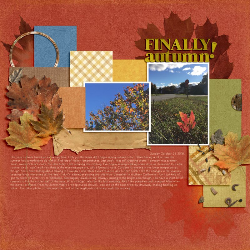 finally autumn