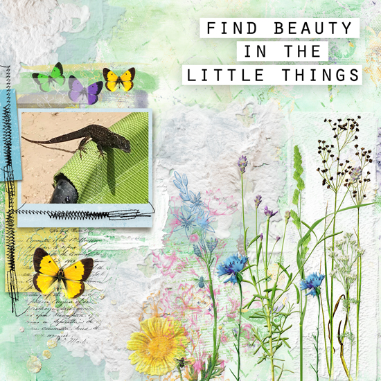 Find The Beauty in Little Things