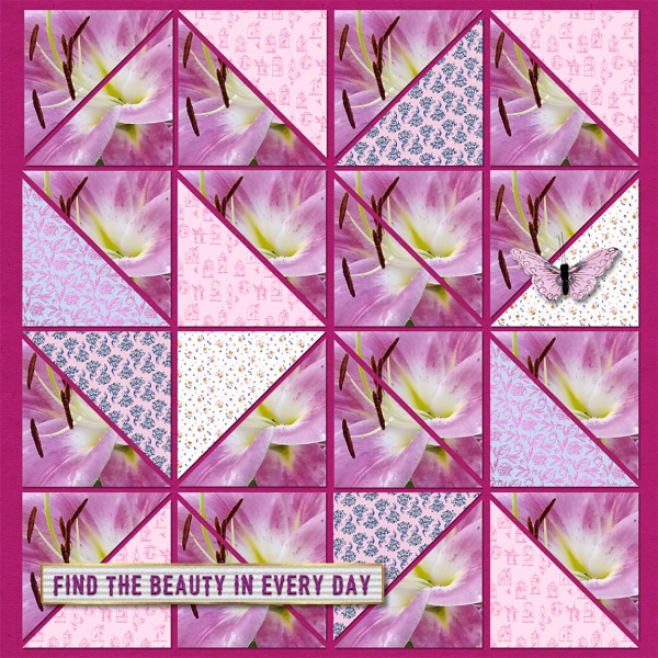 Find The Beauty