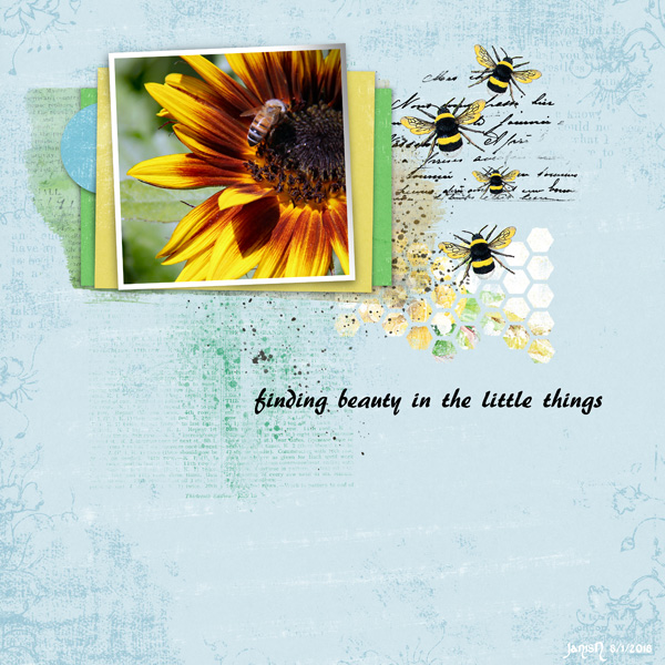 Finding Beauty in the Little Things