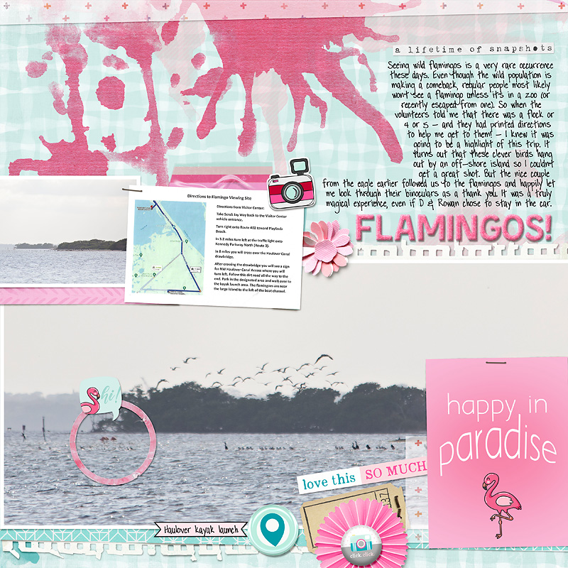 finding flamingos