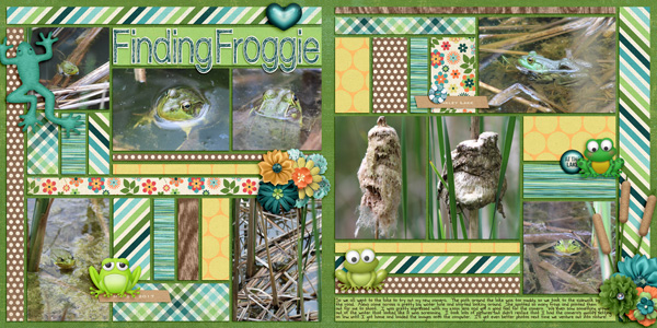 Finding Froggie
