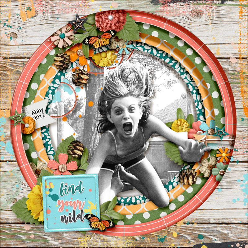 FindYourWild2012web
