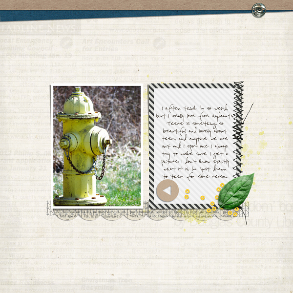Fire Hydrants