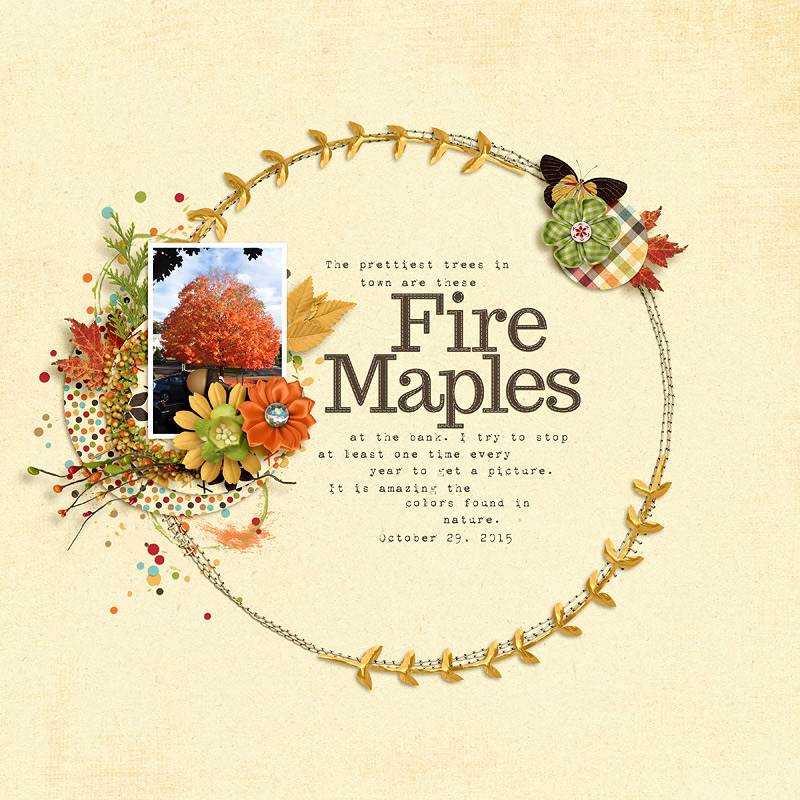 Fire-Maples-WEB
