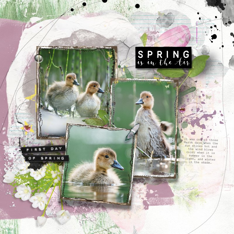 First day of Spring